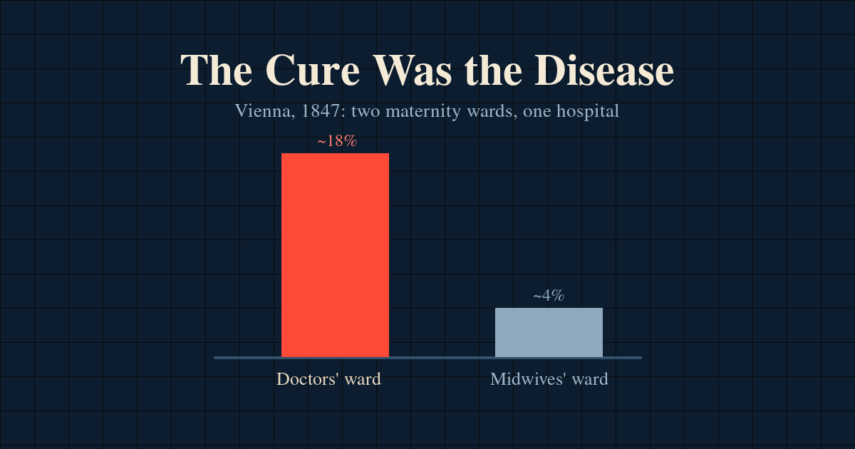 A dark clinical diagram: two maternity wards side by side, the doctors’ ward marked in red with a higher column of losses than the midwives’ ward beside it.